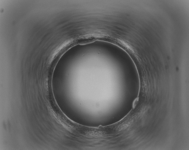 X0000062830535200601201615