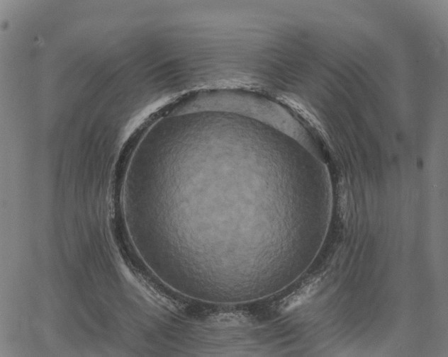 X0000062830536200601201615