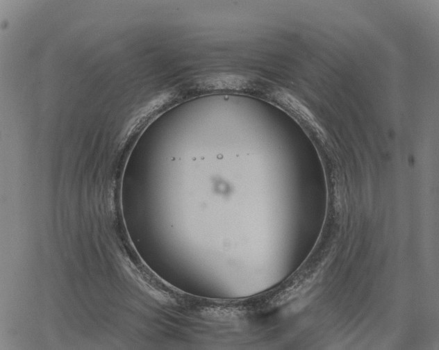 X0000062830537200601201615