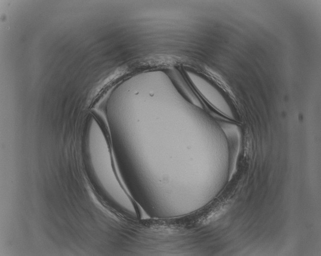 X0000062830538200601201615