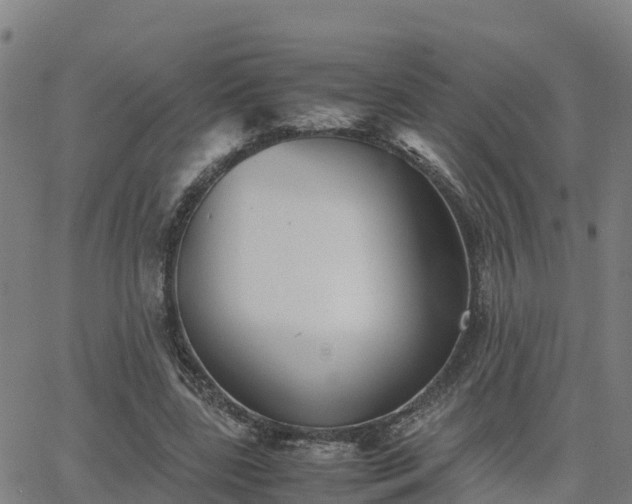 X0000062830539200601201615