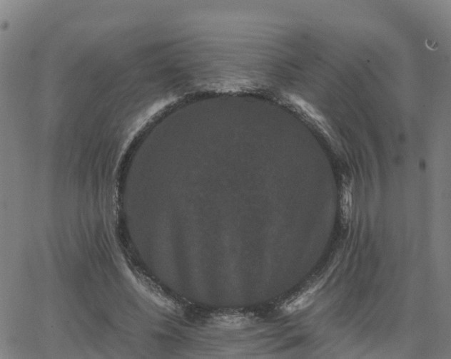 X0000062830540200601201615