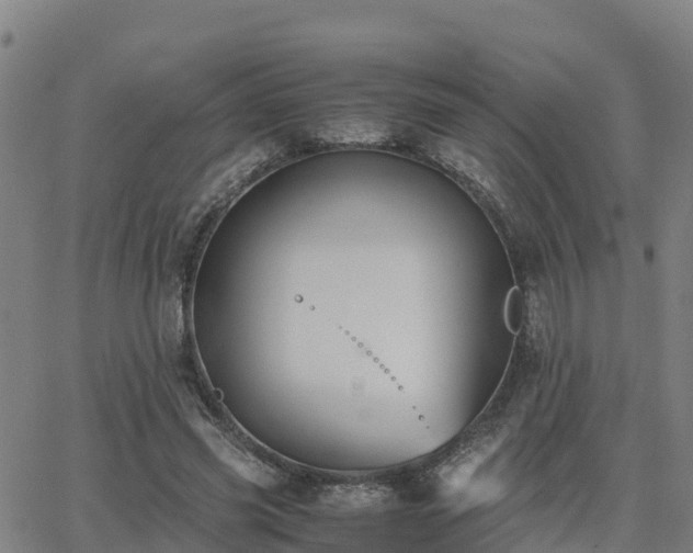 X0000062830541200601201615