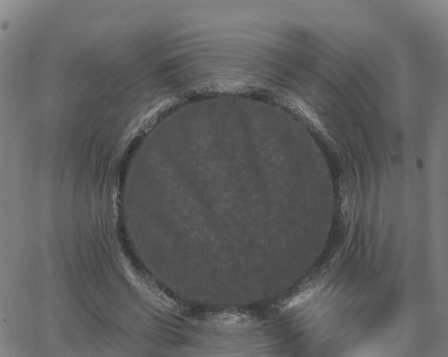 X0000062830542200601201615