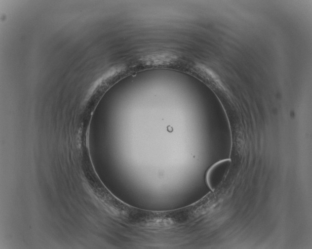 X0000062830543200601201615