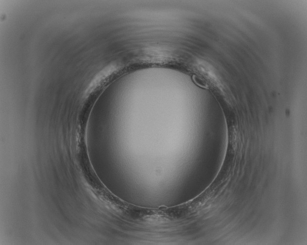 X0000062830544200601201615