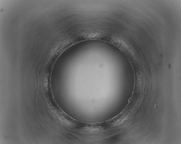 X0000062830545200601201615