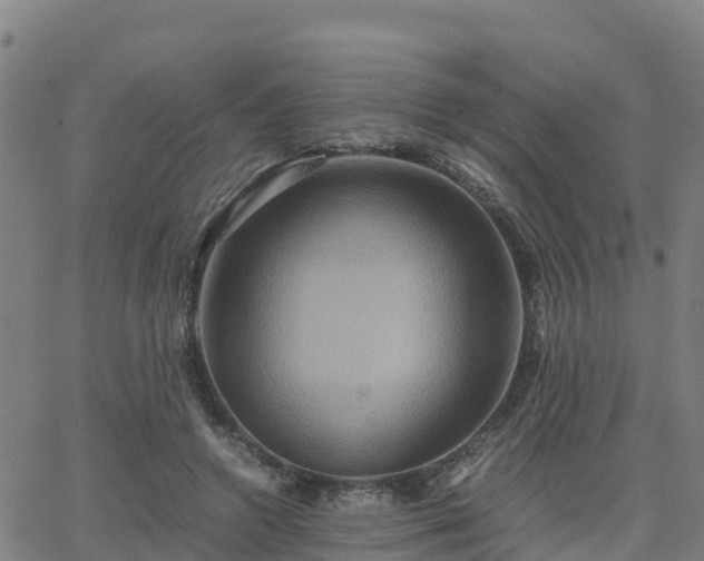 X0000062830546200601201615