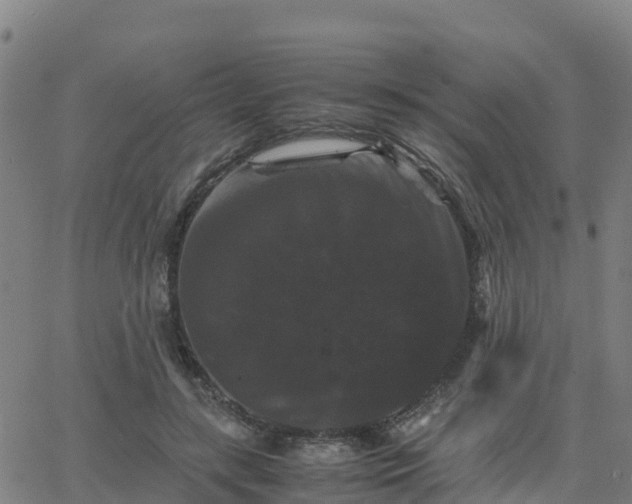 X0000062830547200601201615