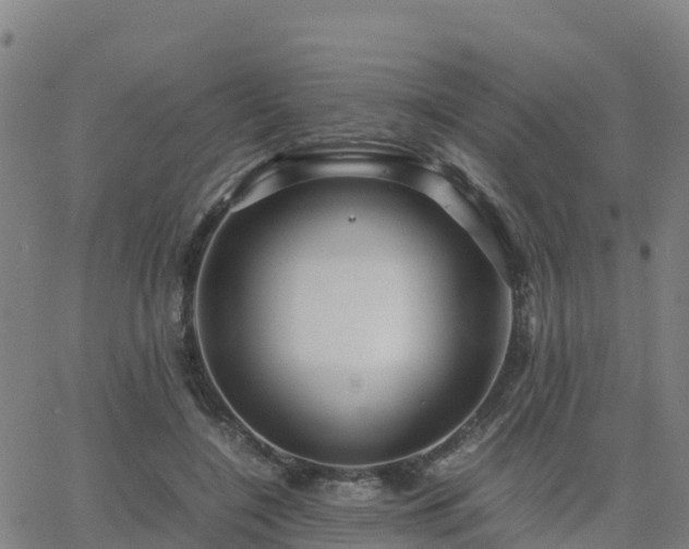 X0000062830548200601201615