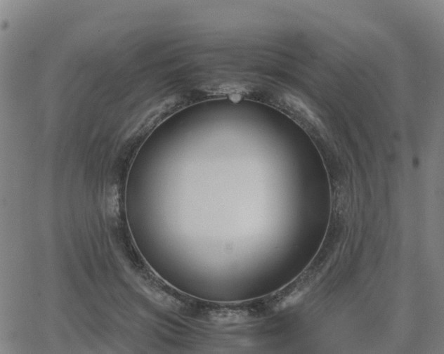 X0000062830549200601201615