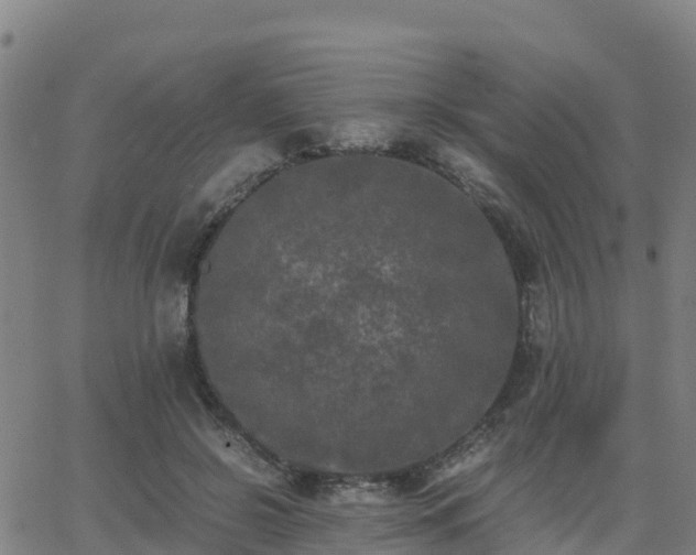 X0000062830550200601201615