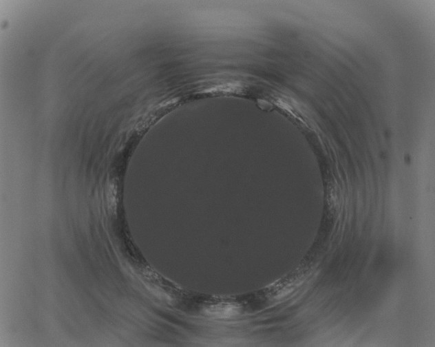 X0000062830551200601201615