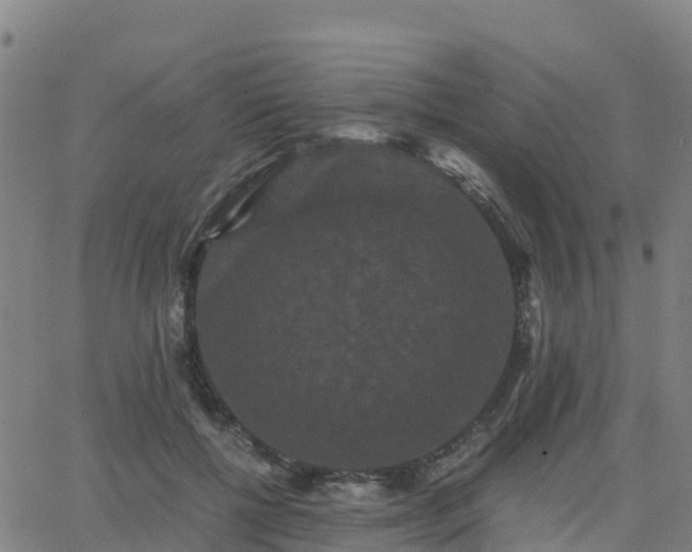 X0000062830552200601201615