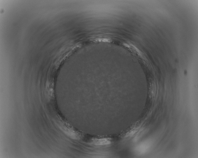 X0000062830553200601201615