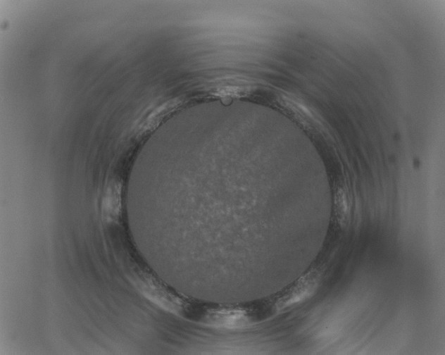 X0000062830554200601201615