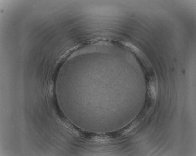 X0000062830556200601201615