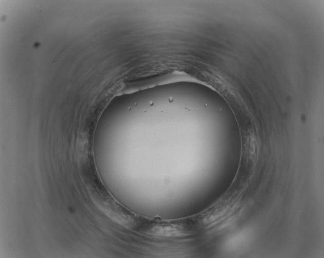 X0000062830557200601201615