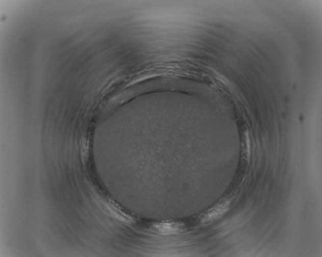 X0000062830558200601201615