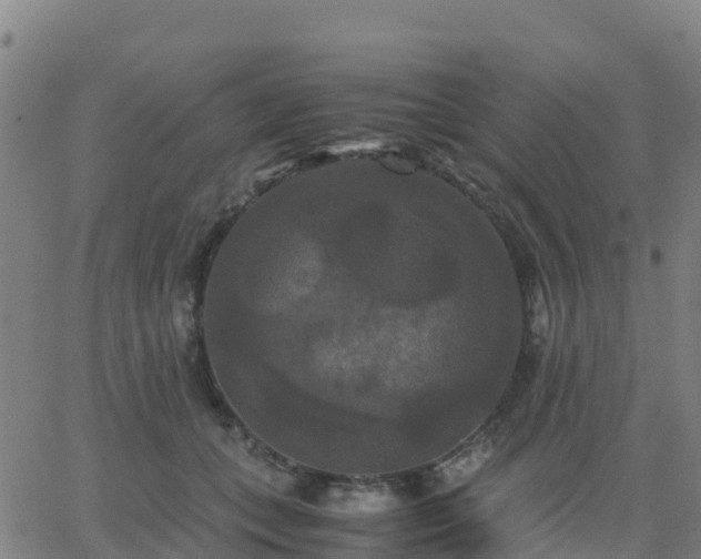 X0000062830559200601201615