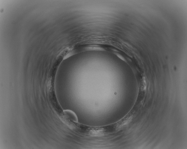 X0000062830560200601201615