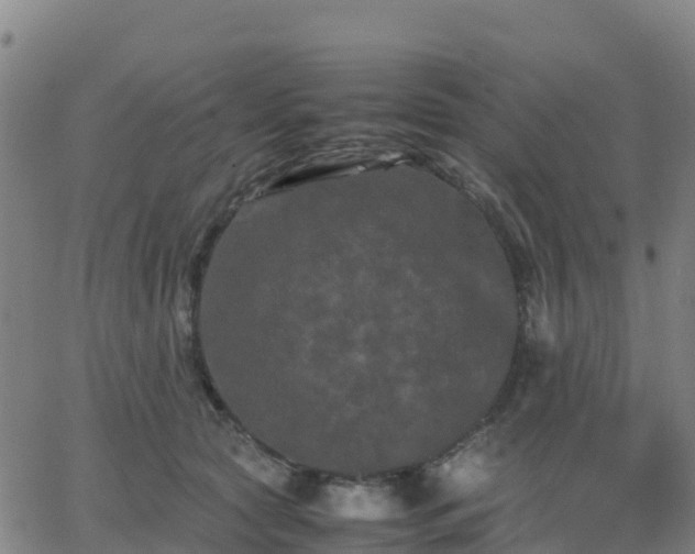 X0000062830561200601201615