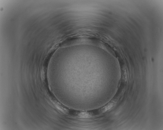 X0000062830562200601201615