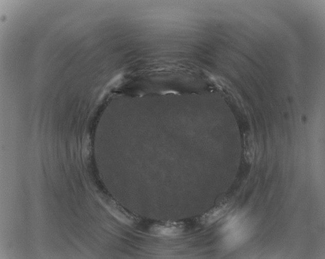 X0000062830563200601201615