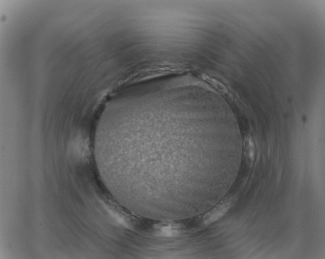 X0000062830564200601201615