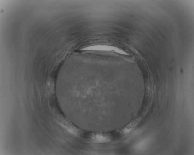 X0000062830565200601201615