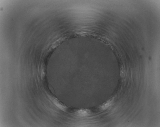 X0000062830566200601201615