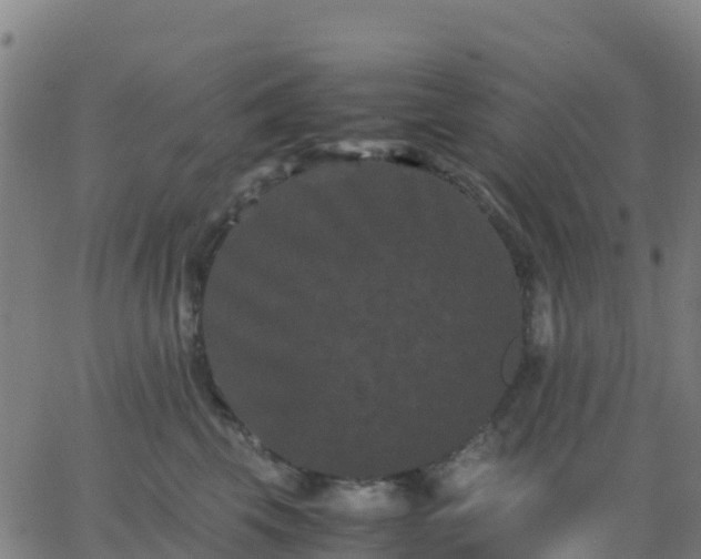 X0000062830569200601201616