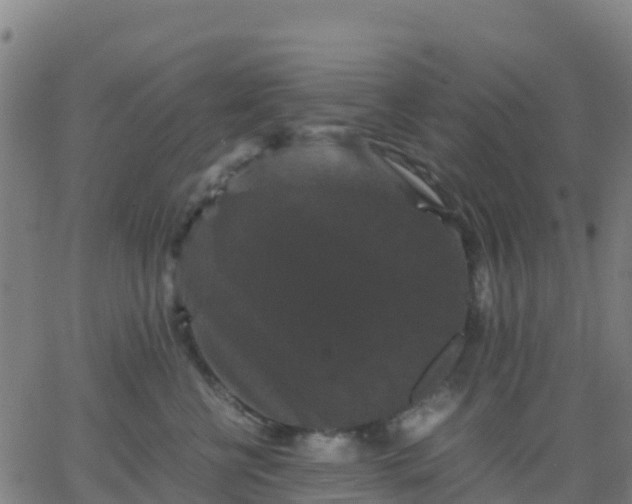 X0000062830570200601201616