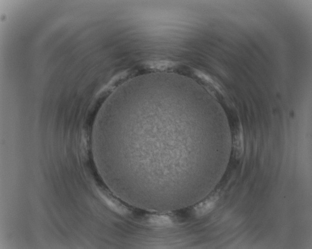 X0000062830572200601201616