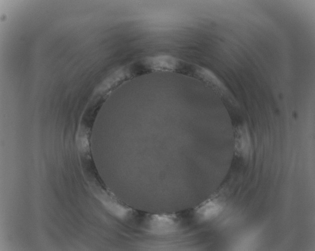 X0000062830573200601201616