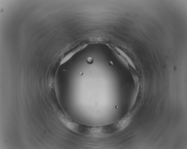 X0000062830574200601201616