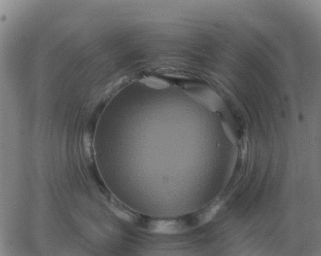 X0000062830575200601201616