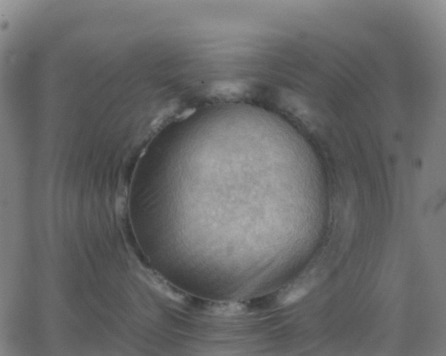 X0000062830576200601201616