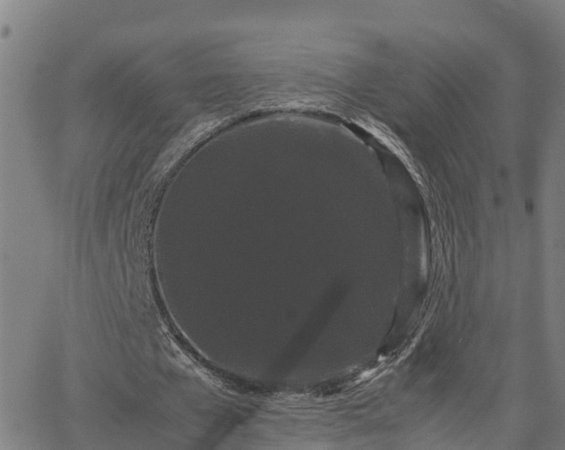 X0000062830577200601201615