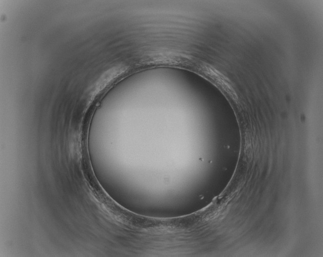 X0000062830578200601201615