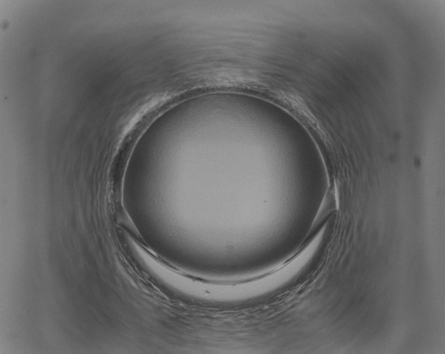 X0000062830579200601201615