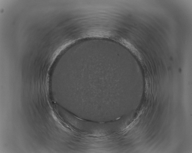 X0000062830580200601201615