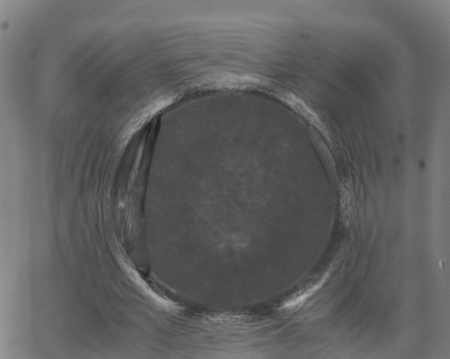 X0000062830581200601201615