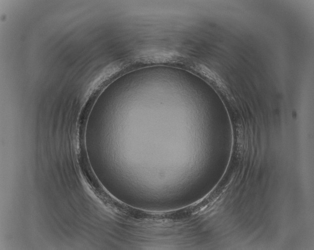 X0000062830582200601201615