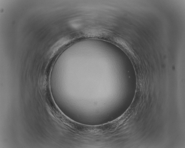 X0000062830583200601201615