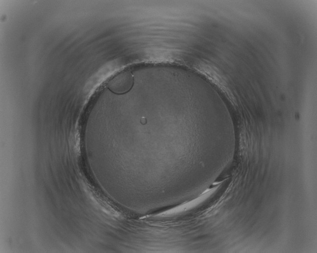 X0000062830584200601201615