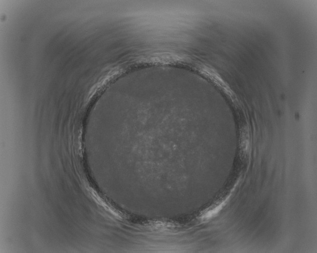 X0000062830585200601201615