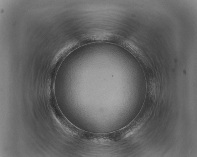 X0000062830586200601201615