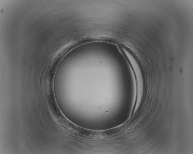 X0000062830587200601201615