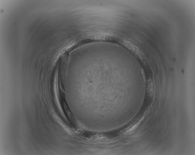 X0000062830589200601201615